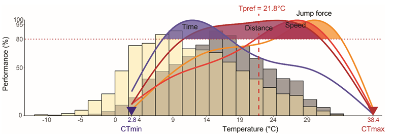 Figure de synthèse.